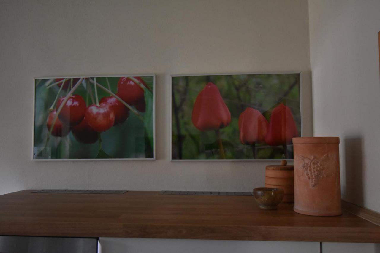 Eifelmittendrin Apartment Waxweiler